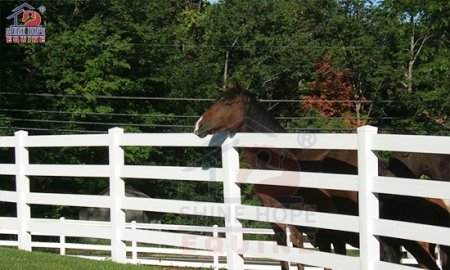 How to Build a Fence?