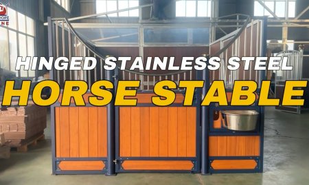 Luxury Stainless steel Horse Stable