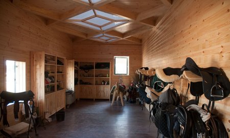 Organizing Your Equestrian Space: Tack Rooms Guild