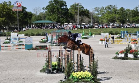 Diving into Showjumping: A Beginner’s Guide to the Thrilling Equestrian Sport