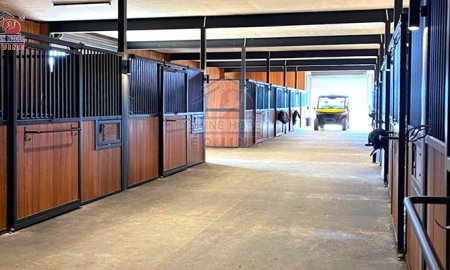 What Is Horse Boarding? 