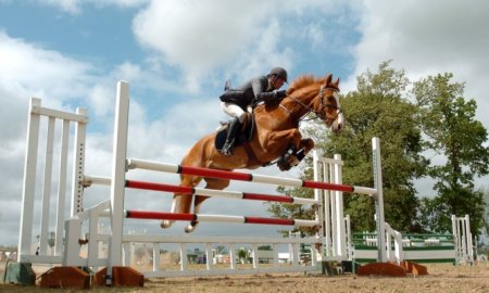 Equine Care & Infrastructure