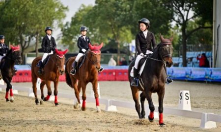 Horse Care & Equestrian Lifestyle