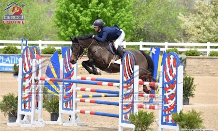 The Different Between Hunters and Jumpers