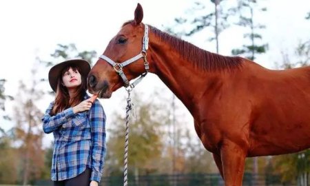 Your Horse Knows When You’re Angry