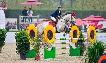 Tips About Becoming a Professional Equestrian