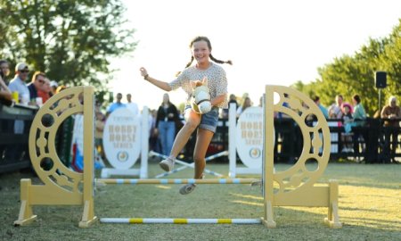 About Hobby Horsing You Should Know