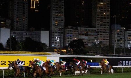 Exploring the Wonderful World of Horse Names