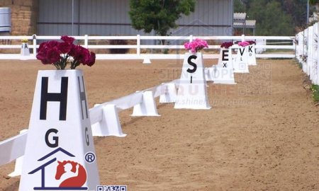 The Horse Racing You Should Know