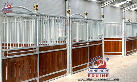 Horse Stable Types: Which One Fits Your Needs