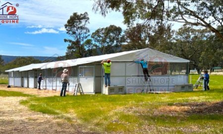 The Real Costs & Key Considerations of Horse Care