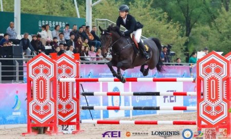 The Ultimate Beginner’s Guide to Horse Riding Equipment