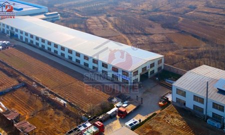 Why Global Horse Riders Worldwide Choose SHINEHOPE EQUINE