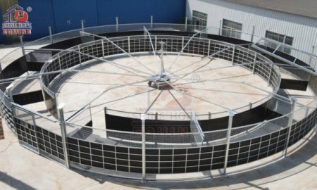 Ultimate Guide to Horse Walkers (Automatic Horse Exercisers)