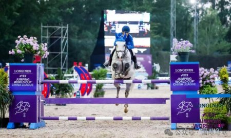 Why Choose Shinehope Show Jumps?