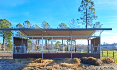 Professional Outdoor Horse Shelter