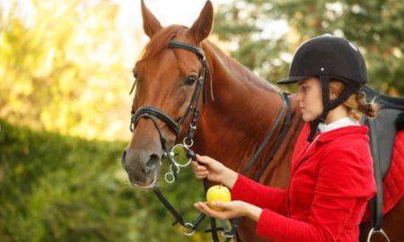 The Ultimate Guide to What Common Human Foods Your Horse Can Safely Enjoy With You