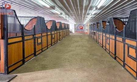 What are some of the changing needs of stabled horses