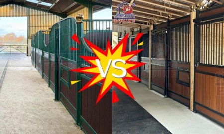 Sliding vs Hinged Horse Stall Doors: Which Is Better for Your Barn?