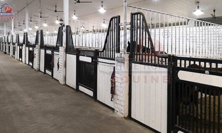 Bamboo Board vs Pine Wood vs Plastic Board: Which Horse Stall Infill Is Better?