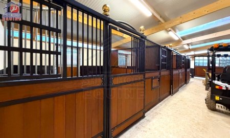 Client Success Story: Netherlands 16-Stall Horse Stable Project with Rave Reviews