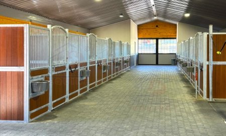 Hot-Dip Galvanized vs Powder Coated Horse Stalls: What’s the Difference?