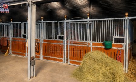How to Choose the Right Horse Stall Size for Your Horse Barn