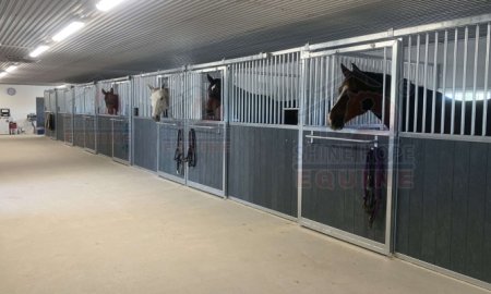 The Ultimate Guide: How to Plan Your Horse Barn