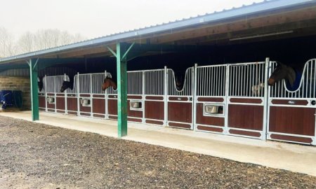 How to Maintain Your Bamboo Horse Stall Panels