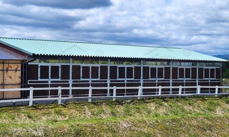 Horse Barn vs. Horse Stable: What Is the Difference?