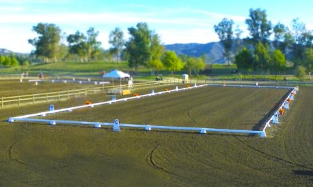 The Ultimate Guide to Dressage Arena Types