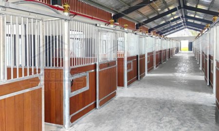 What Is a Horse Stable?