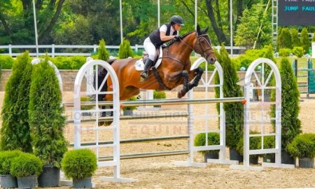 What Is an Oxer Jump?