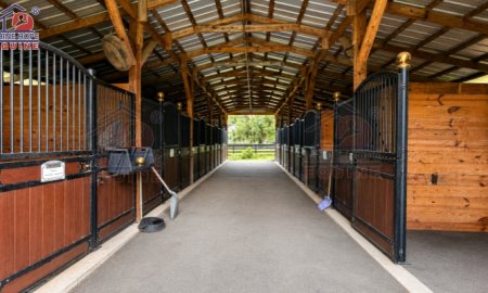 Why a Stable is Essential for Your Horse