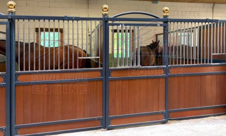 Premium Sliding Horse Stalls | Durable Custom Equine Housing 