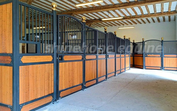  DUtch door stable (1)