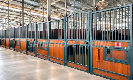 Ultimate Guide to Horse Stable with Hinged Doors