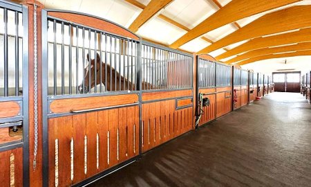 Ultimate Guide to Horse Stable with Sliding Doors | ShineHope Equine