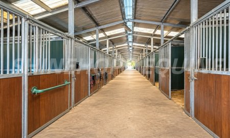 Horse Stables: A Complete Guide to Types, Materials & Designs