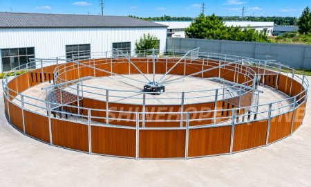 How Far Can a Horse Travel in a Day?