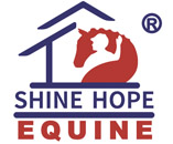 QINGDAO SHINEHOPE TECHNOLOGY CO., LTD. logo
