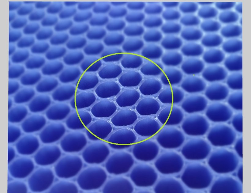 Polypropylene Honeycomb panel professional manufacturer-197