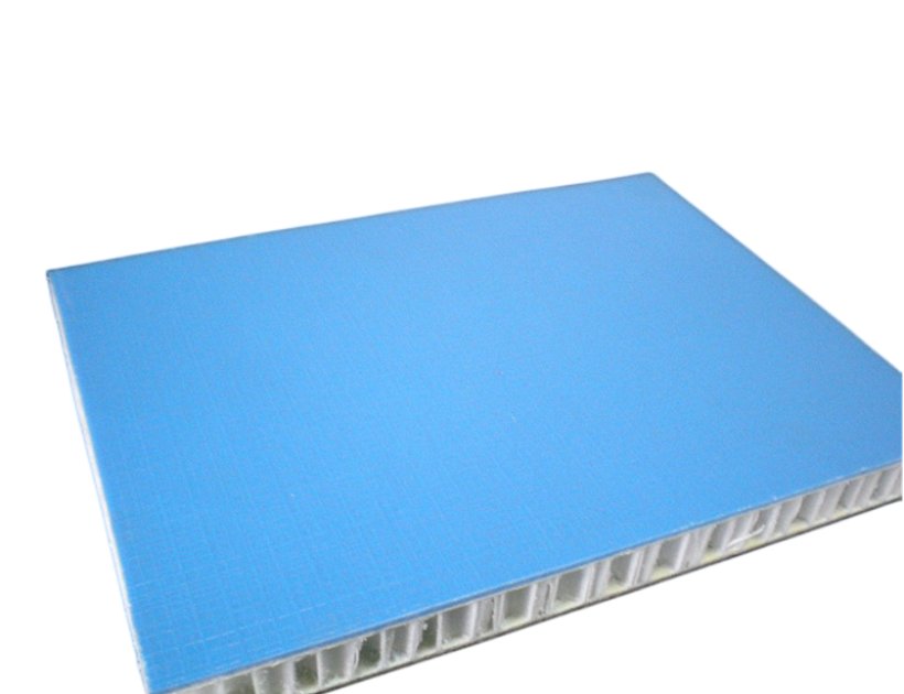 Plastic honeycomb wall panels for modular clean rooms