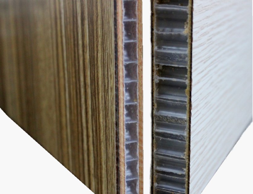 Plastic honeycomb laminated sandwich panels for cleanroom contractors