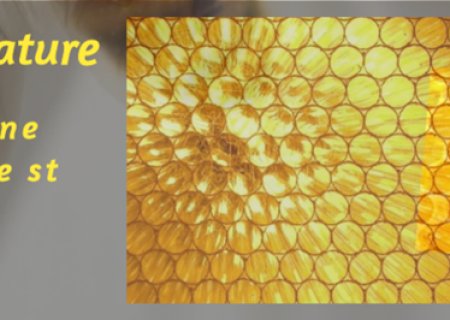 More Than Just Lightweight: A Deep Dive into the Secret of Our Plastic Honeycomb Panels' High Specific Strength