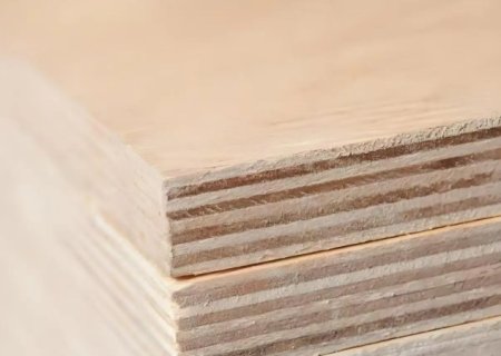 Thermoplastic Honeycomb Panels — Shaping the Future of Green Building and Efficient Transportation