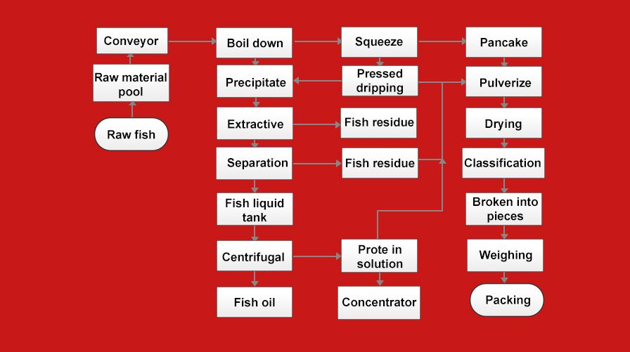 Fish meal
